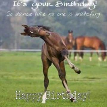 tarjetas de cumpleaños de caballos divertidas