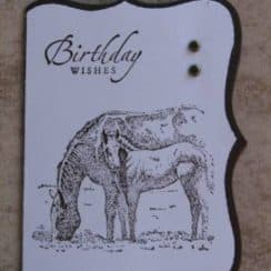 Divertidas tarjetas de cumpleaños de caballos