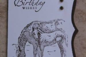 tarjetas de cumpleaños de caballos en sepia