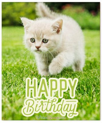 imagenes de cumpleaños con gatos graciosos