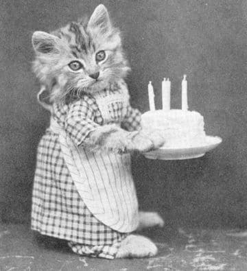 imagenes de cumpleaños con gatos originales