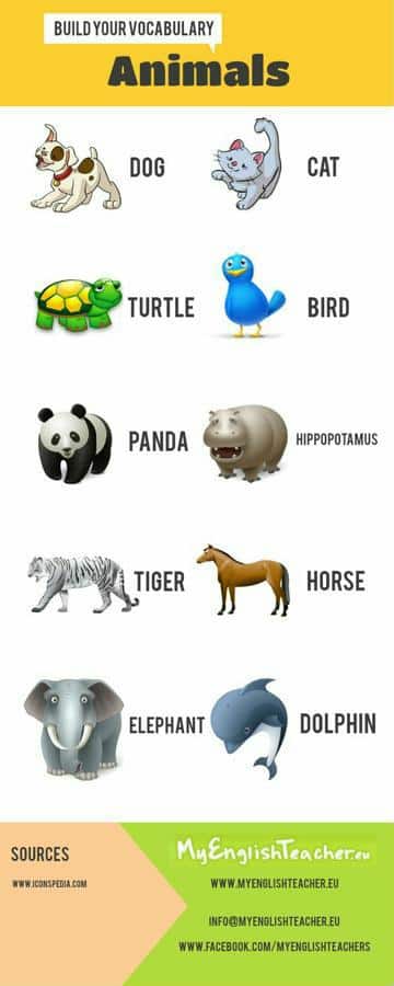 infografia de animales para niños de primaria