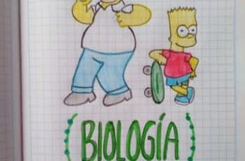 Ideas para caratulas para cuadernos de niños 6o primaria