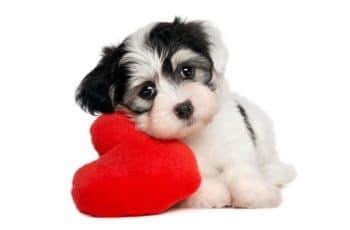 Ideas para tarjetas de san valentin para amiga febrero 2021