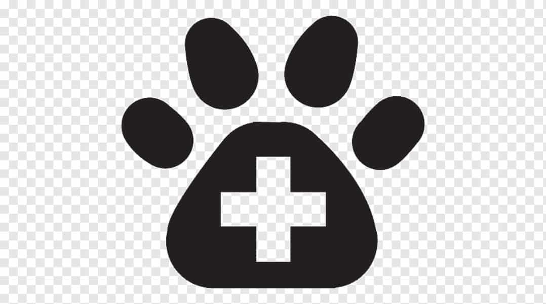 logos para tarjetas de veterinaria vector para editar