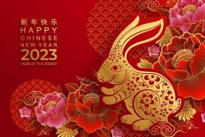imágenes feliz año nuevo 2023 del conejo